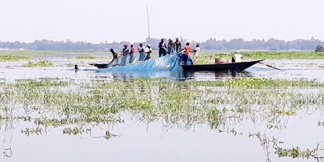 সুজানগরের গাজনার বিলে নিষিদ্ধ জালে চলছে অবাধে মাছ নিধন
