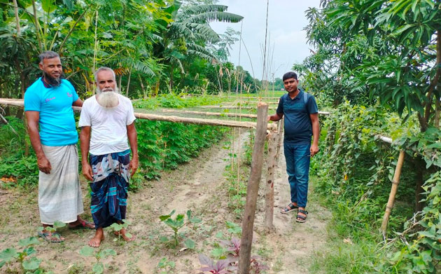 শীতের আগমনী বার্তায় শীতকালীন সবজি চাষে ব্যস্ত আত্রাইয়ের কৃষক