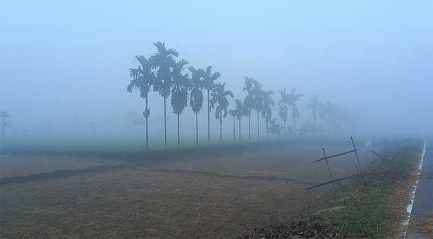 তেঁতুলিয়ায় তাপমাত্রা নামলো ১১ ডিগ্রিতে