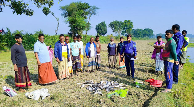 মোহনপুরে বিলে বিষ প্রয়োগ করে অর্ধকোটি টাকার মাছ নিধন