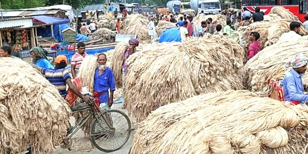 বাগমারার হাটগুলোতে বেড়েছে পাটের দাম