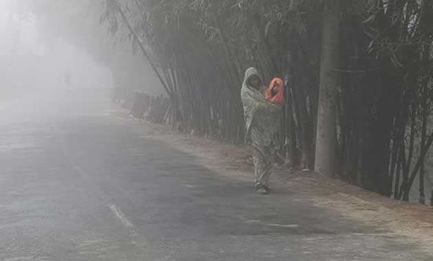 ঘন কুয়াশায় ঢাকা কুড়িগ্রাম, তাপমাত্রা ১৫.৬ ডিগ্রি সেলসিয়াস