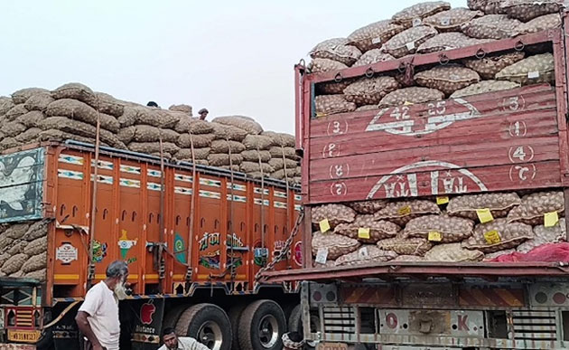 ভারত থেকে রেকর্ড পরিমাণ আলু আমদানি