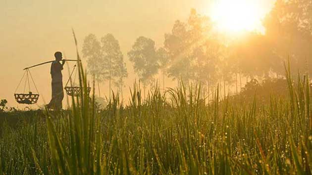 কমবে দিন-রাতের তাপমাত্রা