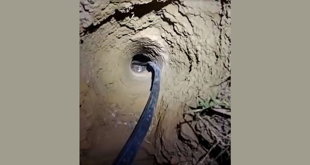 Image not available